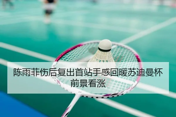 陈雨菲伤后复出首站手感回暖苏迪曼杯前景看涨